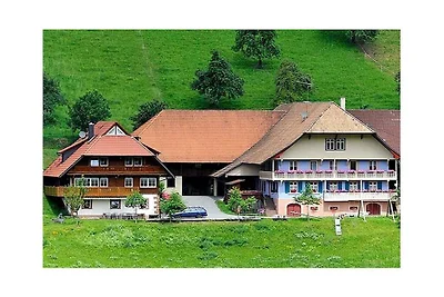 Kuća za odmor Dopust za oporavak Zell am Harmersbach