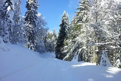 1 im Haus Schnell