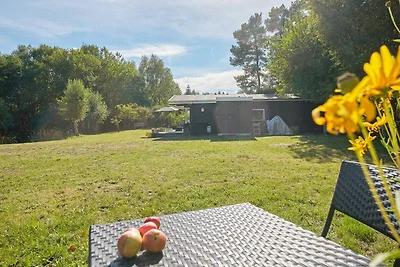 4 Personen Ferienhaus in Hasle