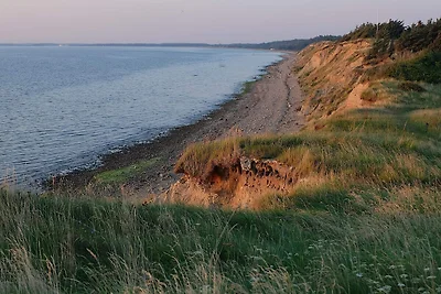 19 Personen Ferienhaus in Løgstør-By Traum