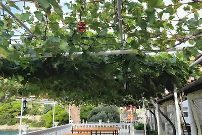 Apartments Franka Saplunara-Triple Room with ...