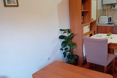 Apartments Petrova