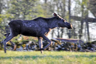 5 Personen Ferienhaus in Årsunda