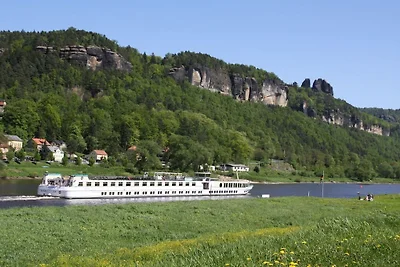 König nahe Bad Schandau