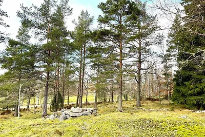 4 Sterne Ferienhaus in PRÄSSEBO