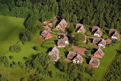 Küstenwaldvilla in Dierhagen