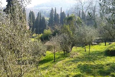 Casa vacanze Casa Carla, Ripafratta