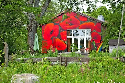 Cottage, Buntenbock