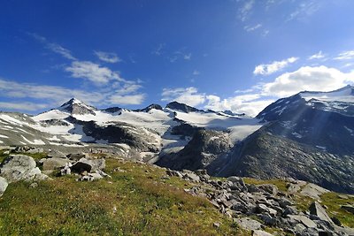 Chalet in Neukirchen am Grossvenediger mit...