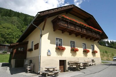 Ferienhaus in Obervellach nahe Skigebiet