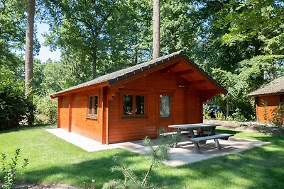 Nice chalet with combimicrowave, 20km from...