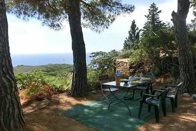 Elisio (OG) Casa Elisio