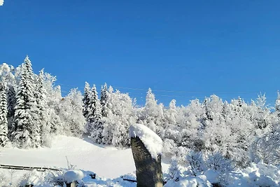 Appartamento a Hohe Tauern vicino Wildkogel