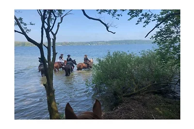 Große Ferienwohnung auf dem Pferdehof