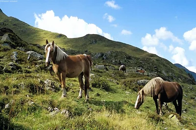 Studio w Saalbach blisko stoków