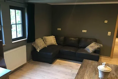 Appartamento a Coo con vista lago