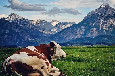 Marie's Farm Getaway aan Lake Hopfensee