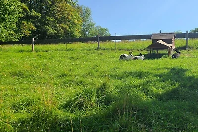 Straubis Hexenhäuschen