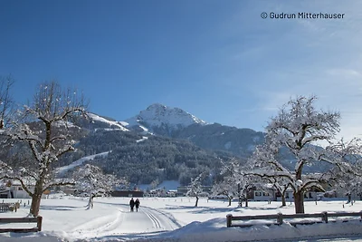 Schöne Wohnung in der Nähe des Skigebiets