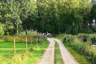 4 Personen Ferienhaus in KORSBERGA