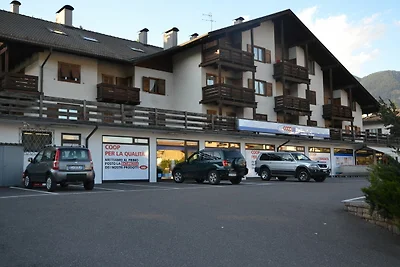 Mooi appartement in Cavalese met een...