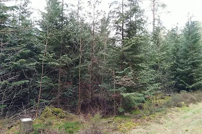 8 Personen Ferienhaus in Gjern-By Traum