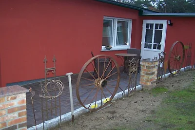 Ferienhaus in Loddin mit Schwimmbecken