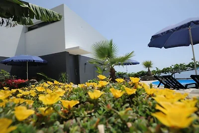 Quinta Golfinho - Casa Nenufar