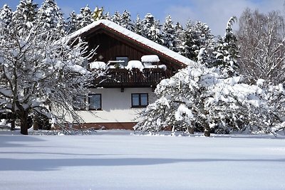 Vakantiehuis in Lossburg bij het skigebied