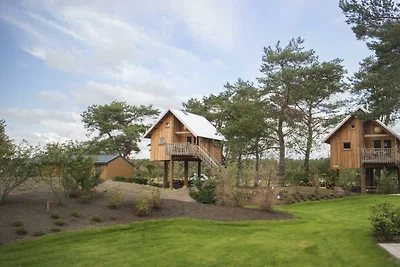 Zwerfhut op hoogte 5