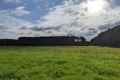 Vakantiedorp op de wijngaard, Dobbrikow