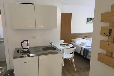Guesthouse Family Bosnic -One bedroom apartme...