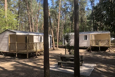 Schönes Chalet mit Veranda im Antwerpener...