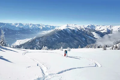 Apartment mit Terrasse in Hollersbach