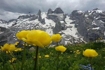 Soggiorno panoramico in montagna a...