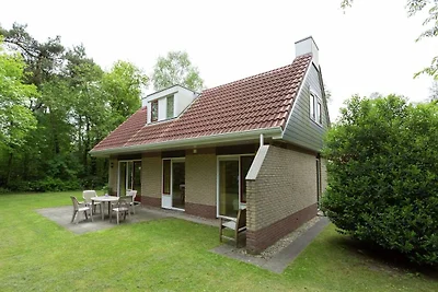 Ferienhaus in Lemele mit Terrasse