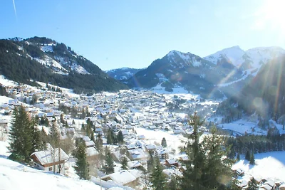 Studio-Apartment in Chatel