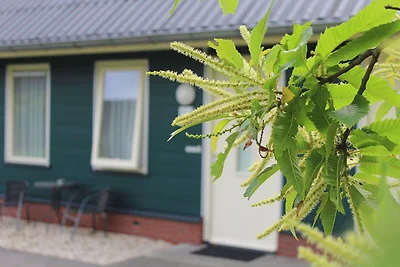 Schönes Haus nur 9 km von van Slagharen...