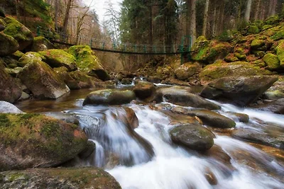 Wohnung im Bayerischen Wald Baumwipfel