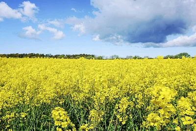 4 osob apartament w Hemse