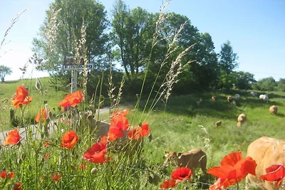 Casa de vacaciones Vacaciones de reposo Marsberg