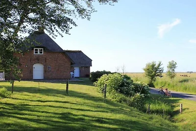 Friesenhaus Hörn