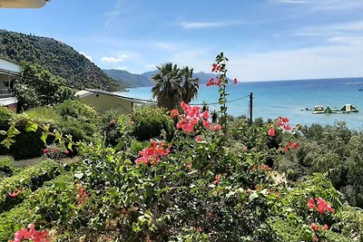 Moderno appartamento vista mare a Corfù con...