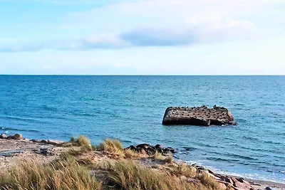 5 Sterne Ferienhaus in Skagen-By Traum