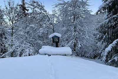 Apartment in Fulpmes am Stubai Gletscher
