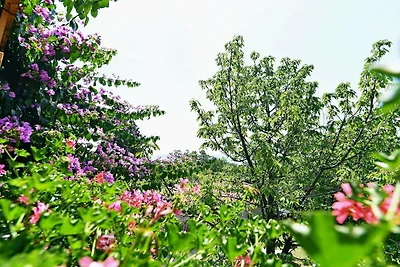 Scenic Retreat Rooms and Family Apartments - ...