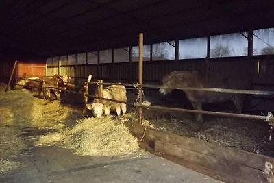 Ferienhaus in Schaprode mit Barbecue