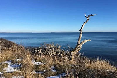 6 persoons vakantie huis in Knebel