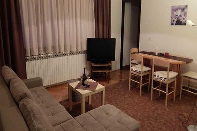 Apartments & Rooms Rendulić - One Bedroom Apa...