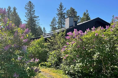 4 Sterne Ferienhaus in GRISSLEHAMN